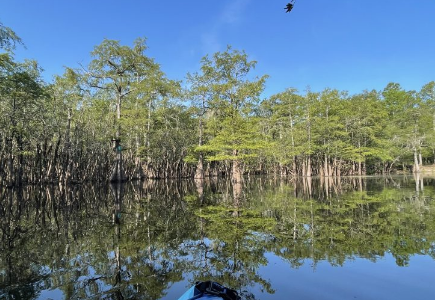 Waccamaw River paddling